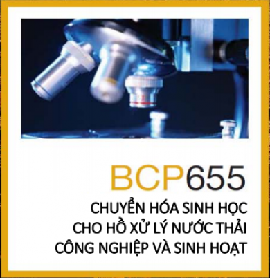 Men vi sinh hồ xử lý nước thải công nghiệp và sinh hoạt dòng BCP655