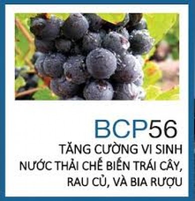 Men vi sinh BCP56 dùng trong  chế biến trái cây, rau củ và bia rượu