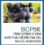 Men vi sinh BCP56 dùng trong  chế biến trái cây, rau củ và bia rượu